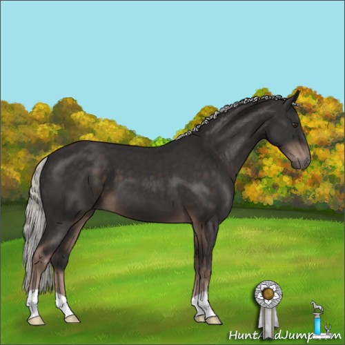 Horse Color:Liver Chestnut Mushroom 