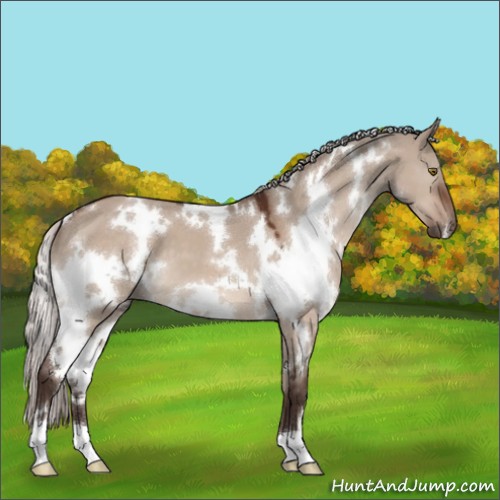 Horse Color:White Spotted Silver Brown Dun Mushroom 