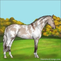 Horse Color:White Spotted Silver Brown Dun Mushroom 