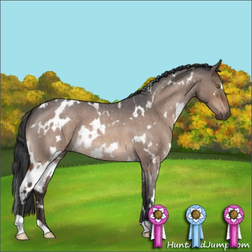 Horse Color:White Spotted Brown Roan Dun Mushroom 