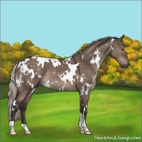 Horse Color:White Spotted Silver Brown Dun Mushroom 