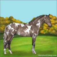 Horse Color:White Spotted Silver Brown Dun Mushroom 