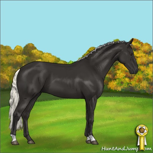 Horse Color:Liver Chestnut Mushroom 