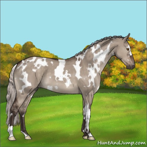 Horse Color:White Spotted Silver Brown Dun Mushroom