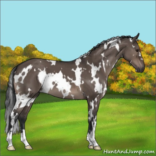 Horse Color:White Spotted Brown Dun Mushroom 