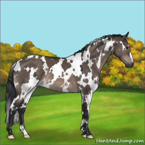 Horse Color:White Spotted Brown Dun Mushroom 