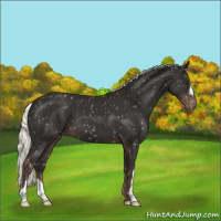 Horse Color:Liver Chestnut Mushroom Snowflake Varnish 