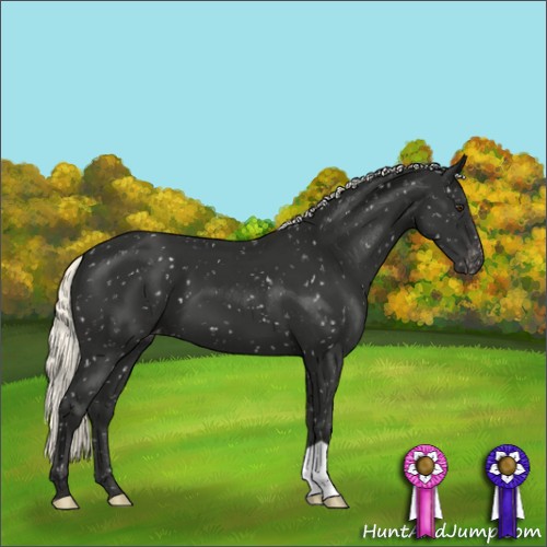 Horse Color:Liver Chestnut Mushroom Snowflake Varnish 