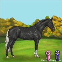 Horse Color:Liver Chestnut Mushroom Snowflake Varnish 