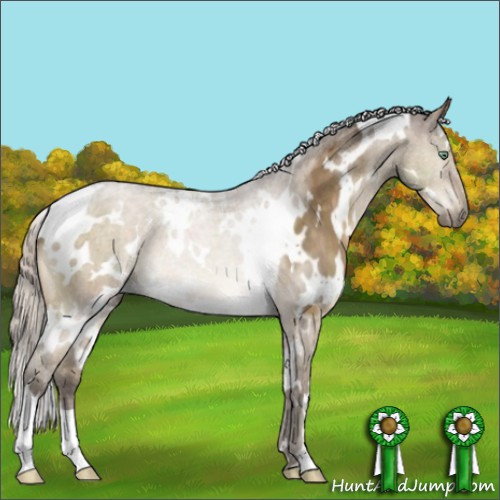 Horse Color:White Spotted Silver Buckskin Dun Mushroom