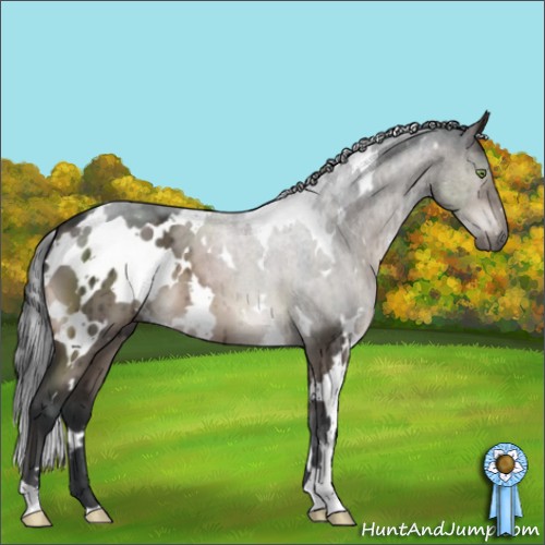 Horse Color:White Spotted Brown Dun Mushroom Brindle 