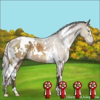 Horse Color:White Spotted Silver Buckskin Dun Mushroom Brindle