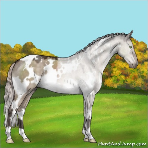 Horse Color:White Spotted Silver Brown Dun Mushroom 