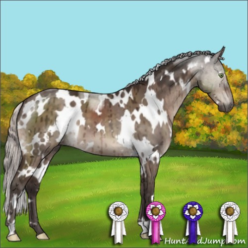 Horse Color:White Spotted Silver Brown Dun Mushroom Brindle 