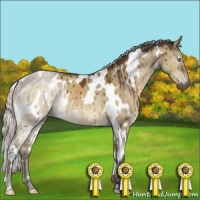 Horse Color:White Spotted Silver Buckskin Dun Mushroom Brindle