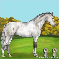 Horse Color:White Spotted Silver Brown Dun Mushroom Brindle 