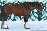 Horse Color:Brown Splash Varnish 