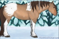 Horse Color:Brown Dun Tobiano Appaloosa Rabicano