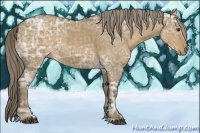 Horse Color:Chocolate Palomino Ice Dun 