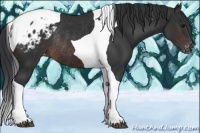 Horse Color:Brown Tobiano Blanket Rabicano 