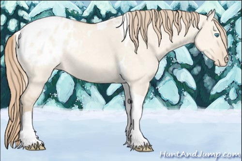Horse Color:Perlino Dun Tobiano Appaloosa Rabicano