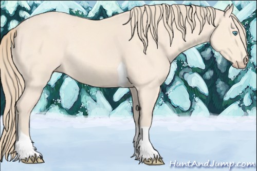 Horse Color:Perlino Tobiano Rabicano