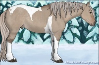 Horse Color:Silver Grullo Tobiano Rabicano