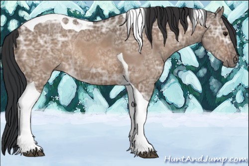 Horse Color:Brown Ice Dun Tobiano Rabicano 