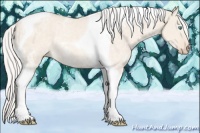 Horse Color:Silver Perlino Ice Dun Tobiano Rabicano 