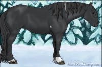 Horse Color:Black Tobiano Rabicano