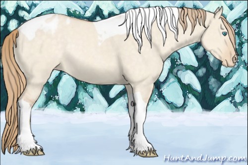 Horse Color:Perlino Dun Tobiano Blanket Rabicano 