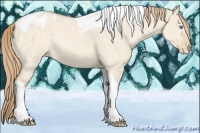 Horse Color:Perlino Dun Tobiano Blanket Rabicano