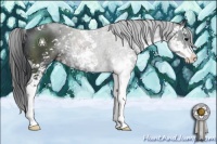Horse Color:Black Sabino Appaloosa 