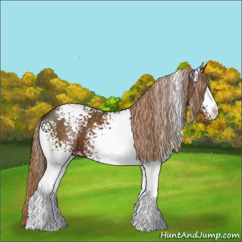 Horse Color:White Spotted Liver Chestnut 