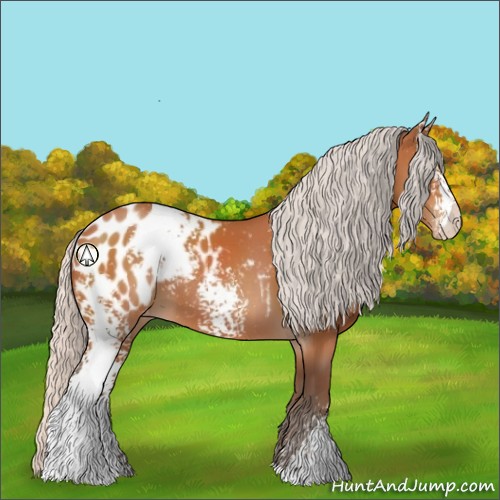 Horse Color:White Spotted Silver Bay Sabino Appaloosa 