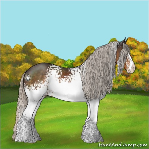 Horse Color:White Spotted Silver Buckskin 