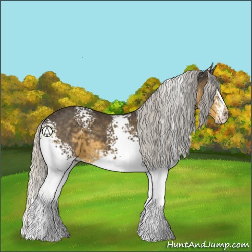 Horse Color:White Spotted Silver Smoky Black