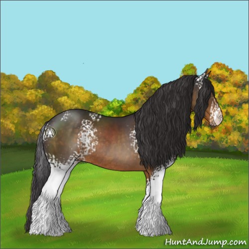 Horse Color:White Spotted Buckskin Rabicano