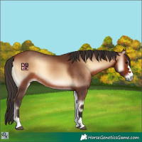 Horse Color:Bay Onyx 