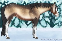 Horse Color:White Spotted Brown Onyx Snowflake Varnish Rabicano 