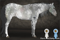 Horse Color:White Spotted Black Ice 