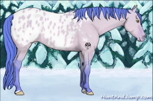 Horse Color:Watercolor Sable Champagne Dun Appaloosa 