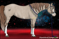 Horse Color:White Spotted Liver Red Dun Roan Splash Rabicano 