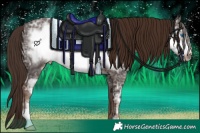 Horse Color:Liver Chestnut Ice Frame