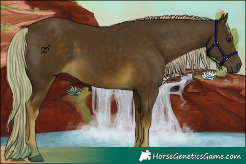 Horse Color:Chocolate Palomino