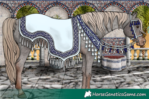 Horse Color:Liver Chestnut Appaloosa 