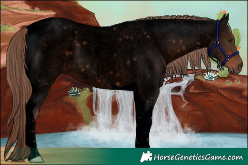 Horse Color:Void Liver Red Roan Tobiano 