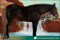 Horse Color:Void Liver Red Roan Tobiano 