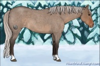 Horse Color:Silver Brown Roan Dun Appaloosa 