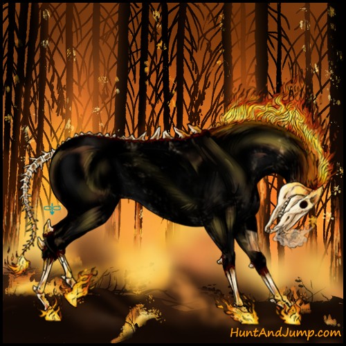 Horse Color:Void Buckskin Dun Sabino Snowcap 
